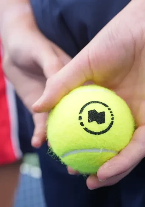 ZOOM 12 Rabbit Hole 478x783