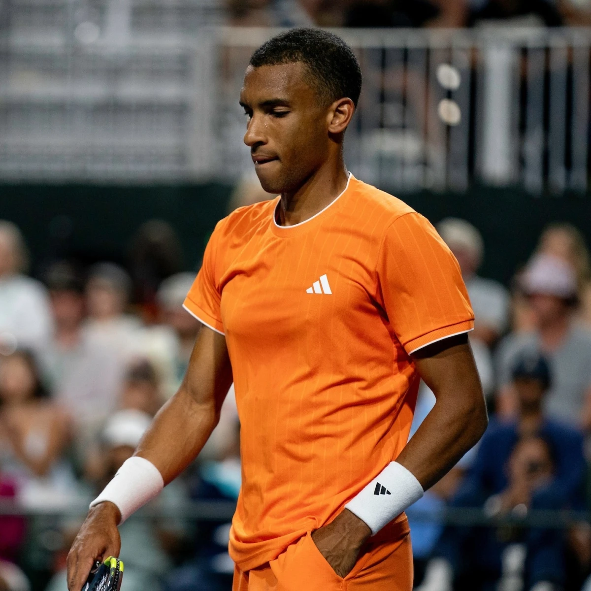 CHAMPAGNE SJ Felix Auger Aliassime14