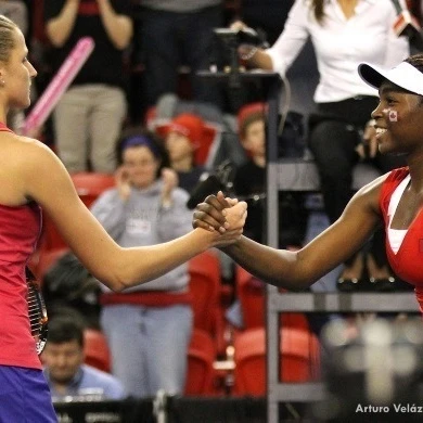 1 Abanda Pliskova Handshake