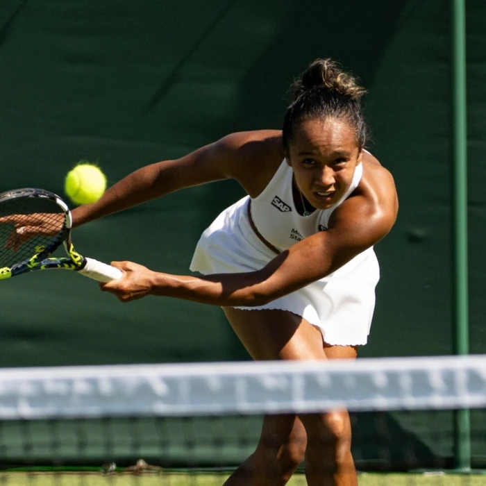 Fernandez trébuche à nouveau au deuxième tour à Wimbledon