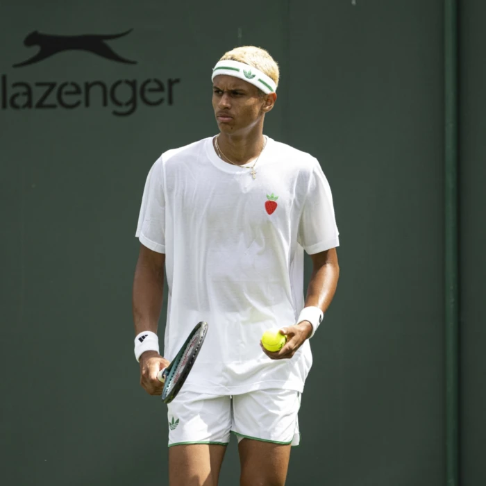 Diallo loses five-set thriller against Fritz in Wimbledon second round; Fernandez out