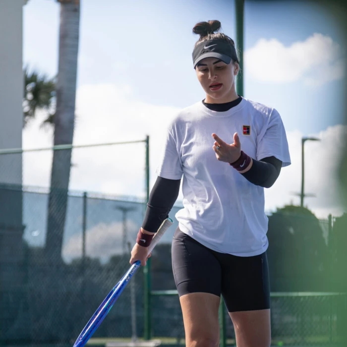 Andreescu has impressively built the foundation for a 2026 resurgence