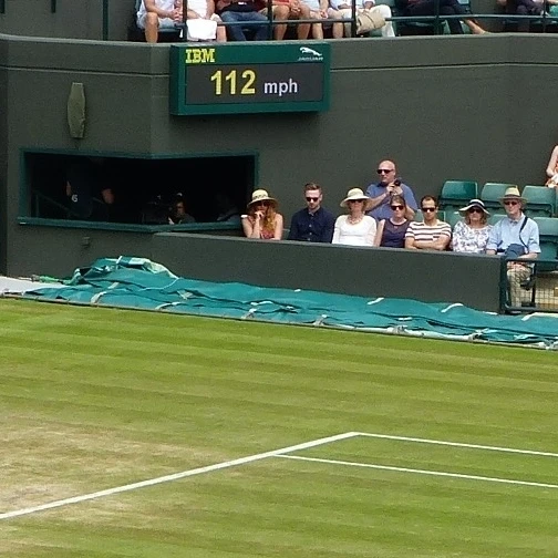 Tebbutt: Raonic rolls to win