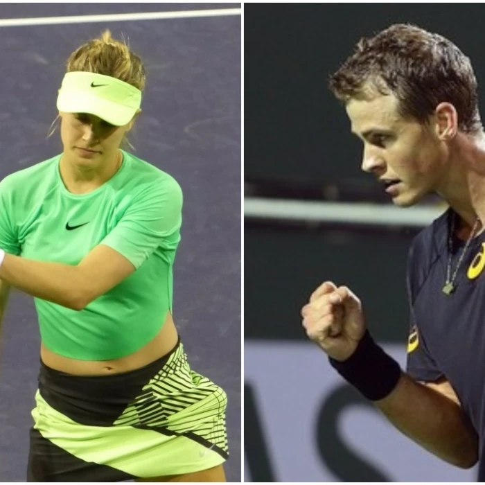 Tebbutt: Genie fades & Vasek rallies
