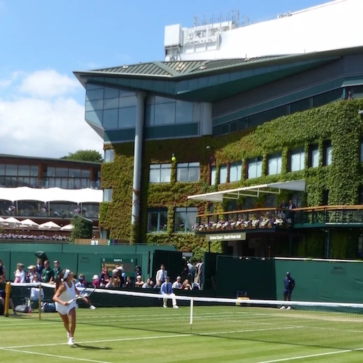 Tebbutt: Milos on a Querrey quest