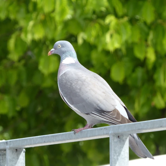 Tebbutt: Sleeping on history