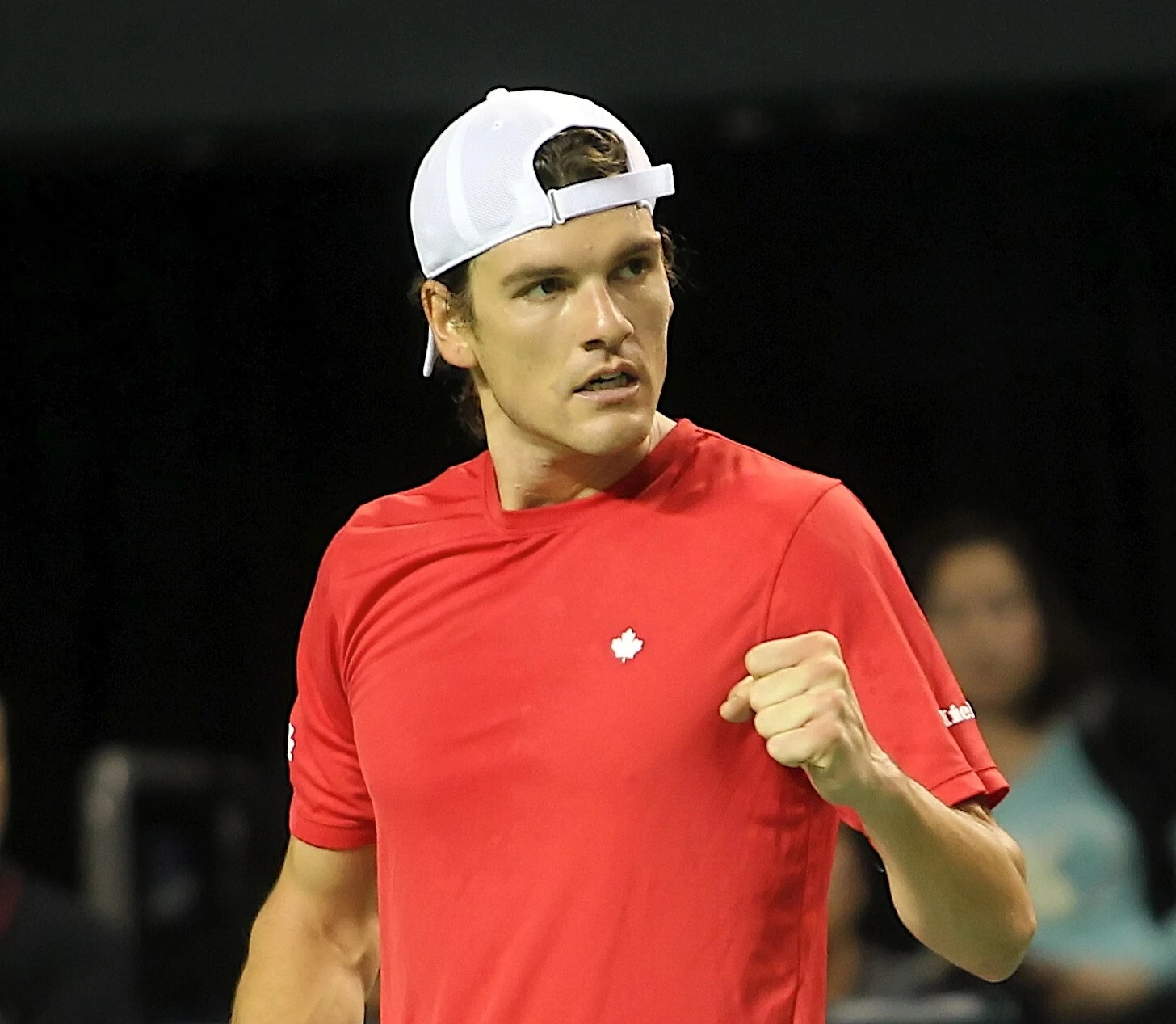 Frank Dancevic 2013 Davis Cup