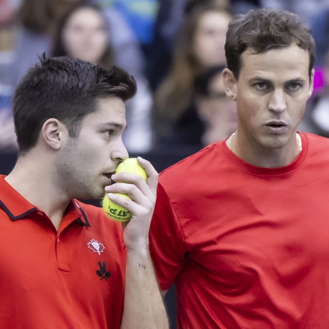 Galarneau Pospisil 2024 Davis Cup Pascal Ratthe