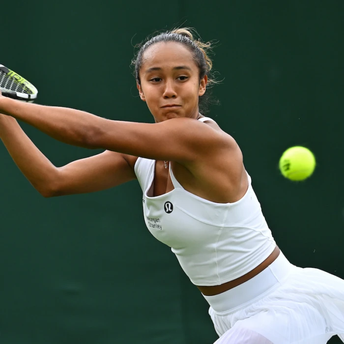 Fernandez ousts Bronzetti to reach second round of Wimbledon