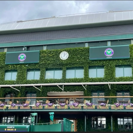 Tebbutt: Drawing destinies at Wimbledon