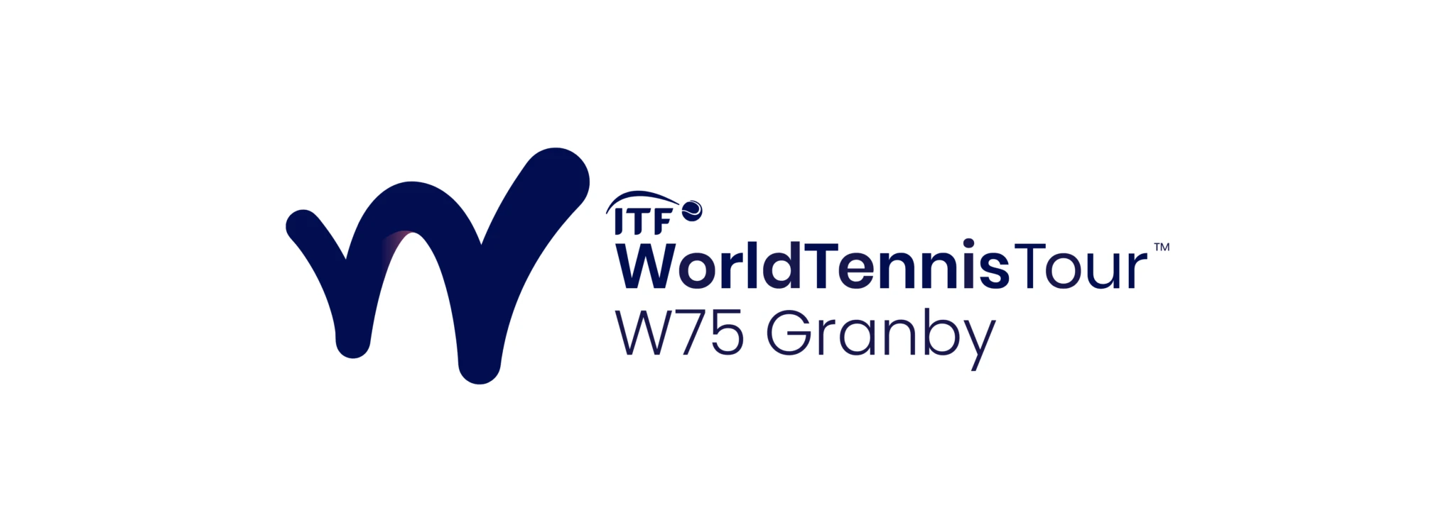 W75 Granby linear Print Light ai 1
